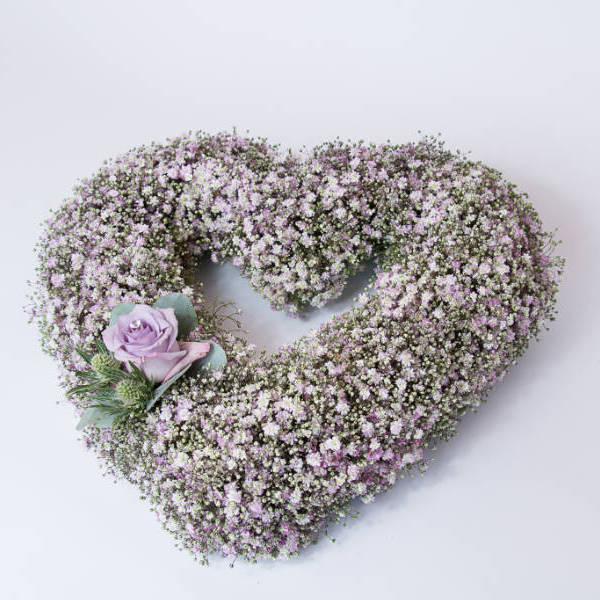 Gypsophila Open Heart